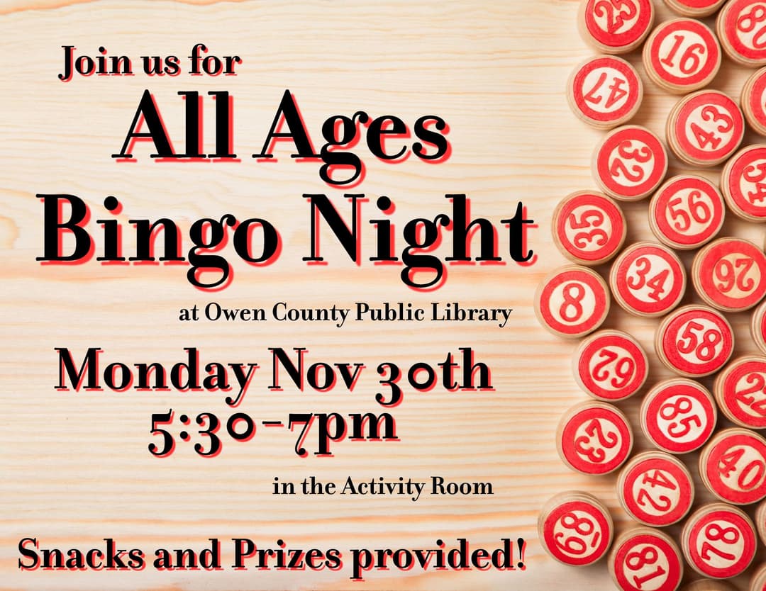 flyer for bingo night
