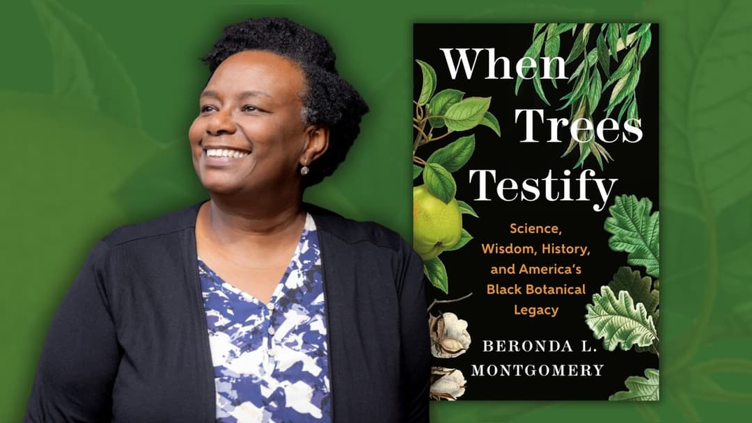 flyer with the author with her book When Trees Testify